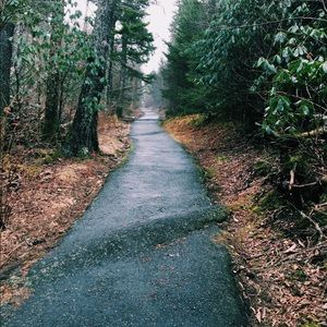 Meet your Posher, Peyton